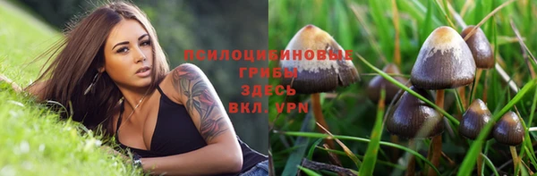 герыч Арсеньев