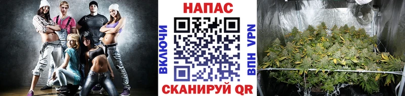 Марихуана индика  Тетюши 